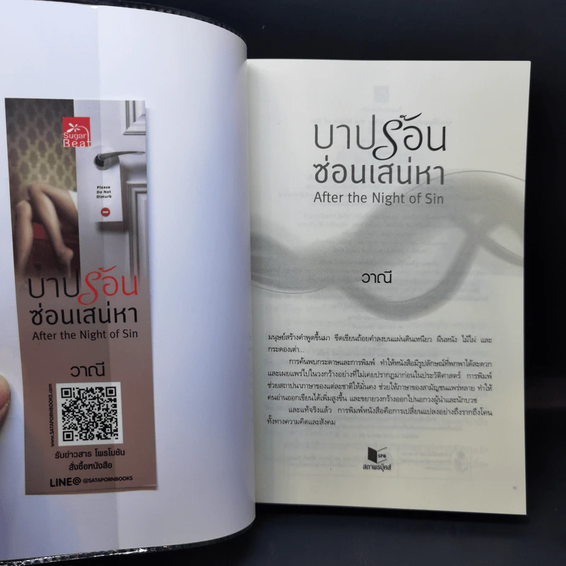 บาปรักซ่อนเสน่หา - วาณี รูปที่ 8