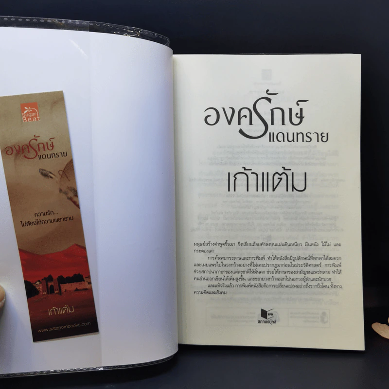 องครักษ์แดนทราย - เก้าแต้ม รูปที่ 8