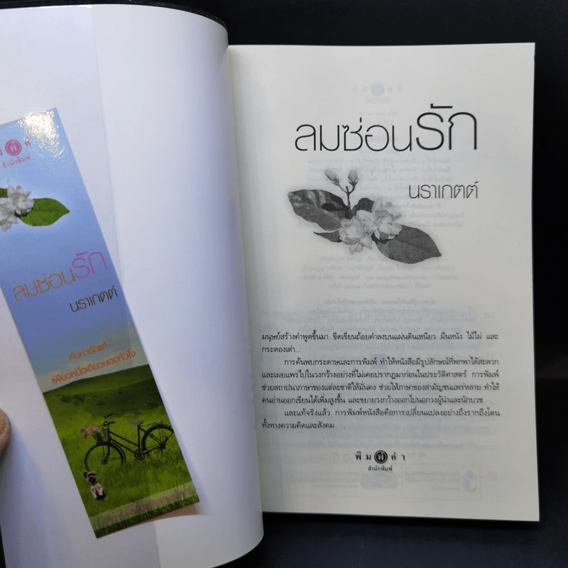 ลมซ่อนรัก - นราเกตต์ รูปที่ 8