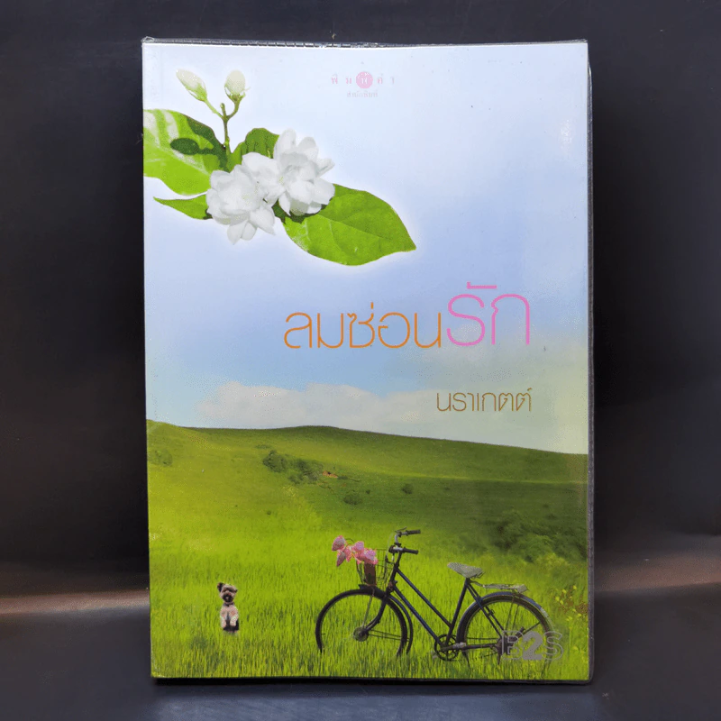 ลมซ่อนรัก - นราเกตต์ รูปที่ 1