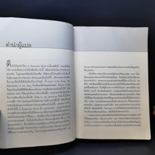 ผู้ชายหลายมิติ A Beautiful Mind - ซิลเวีย นาซาร์ รูปที่ 9