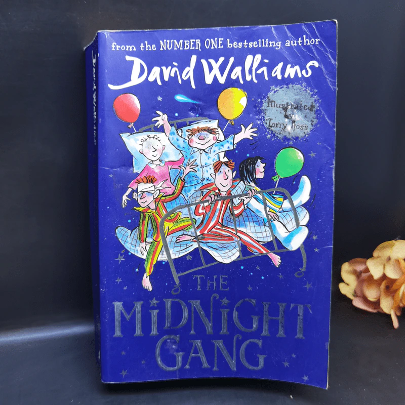วรรณกรรมเยาวชนภาษาอังกฤษ David Walliams ขายรวม 8 เล่ม รูปที่ 13