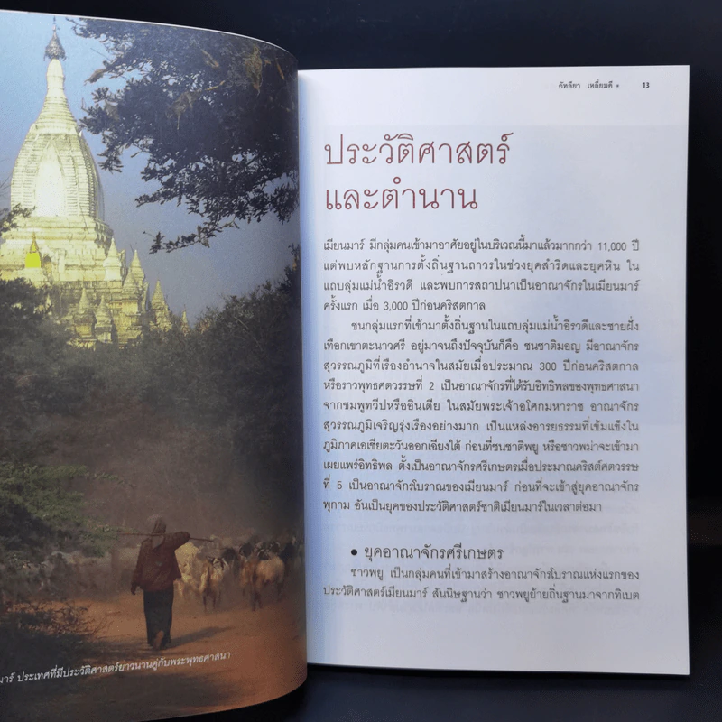 สาธารณรัฐแห่งสหภาพ เมียนมาร์ - คัทลียา เหลี่ยมดี รูปที่ 11