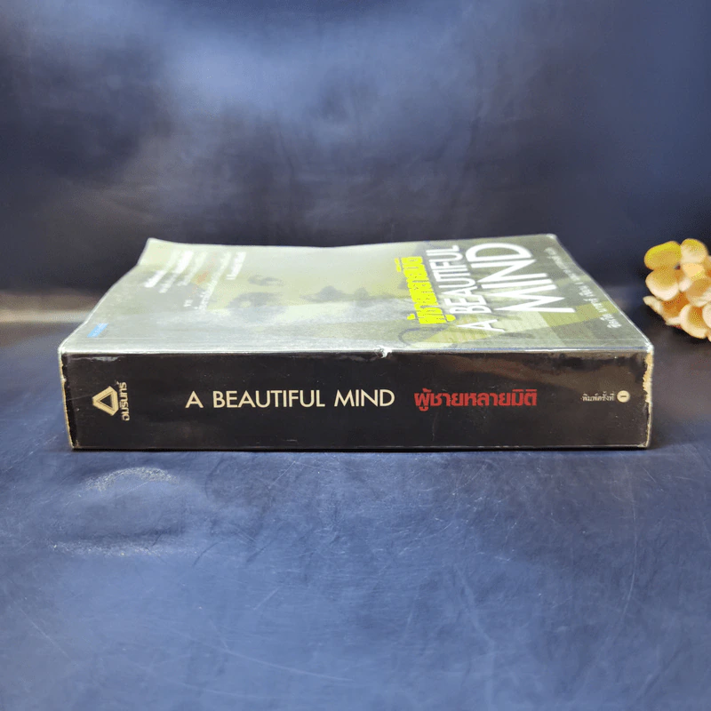 ผู้ชายหลายมิติ A Beautiful Mind - ซิลเวีย นาซาร์ รูปที่ 3