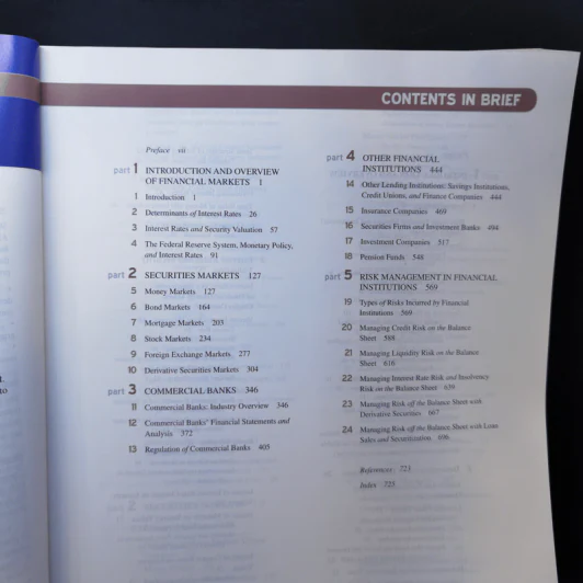 Financial Markets and Institutions รูปที่ 12
