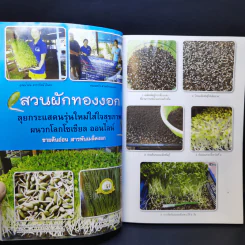 กลยุทธ์การเพาะปลูกต้นอ่อน เมล็ดงอก ผักสุขภาพ เพาะง่าย ขายรวย รูปที่ 10