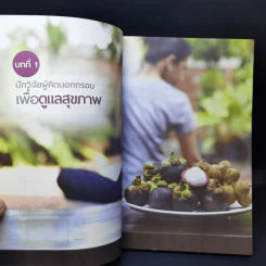 ภูมิสมดุลเพื่อสุขภาพ - ศาสตราจารย์ ดร.พิเชษฐ์ วิริยะจิตรา ผู้เล่าเรื่อง, นิรันดร์ พวงสุข เรียบเรียง รูปที่ 12