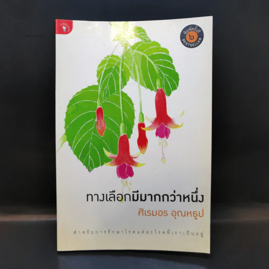 ทางเลือกมีมากกว่าหนึ่ง - ศิเรมอร อุณหธูป รูปที่ 1