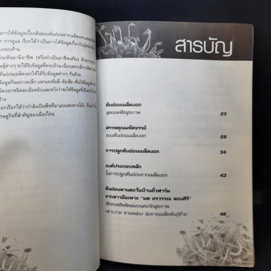 กลยุทธ์การเพาะปลูกต้นอ่อน เมล็ดงอก ผักสุขภาพ เพาะง่าย ขายรวย รูปที่ 11