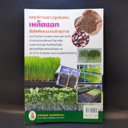 กลยุทธ์การเพาะปลูกต้นอ่อน เมล็ดงอก ผักสุขภาพ เพาะง่าย ขายรวย รูปที่ 2