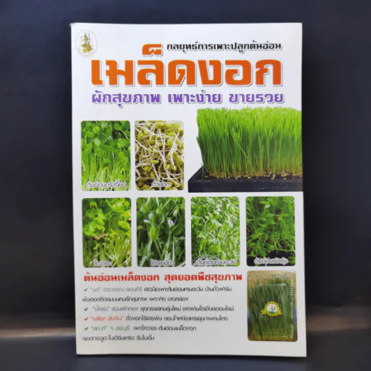 กลยุทธ์การเพาะปลูกต้นอ่อน เมล็ดงอก ผักสุขภาพ เพาะง่าย ขายรวย รูปที่ 1