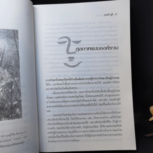 สุขภาพแบบองค์รวม มองย้อนการแพทย์ตะวันออก - มนตรี ภู่มี รูปที่ 12