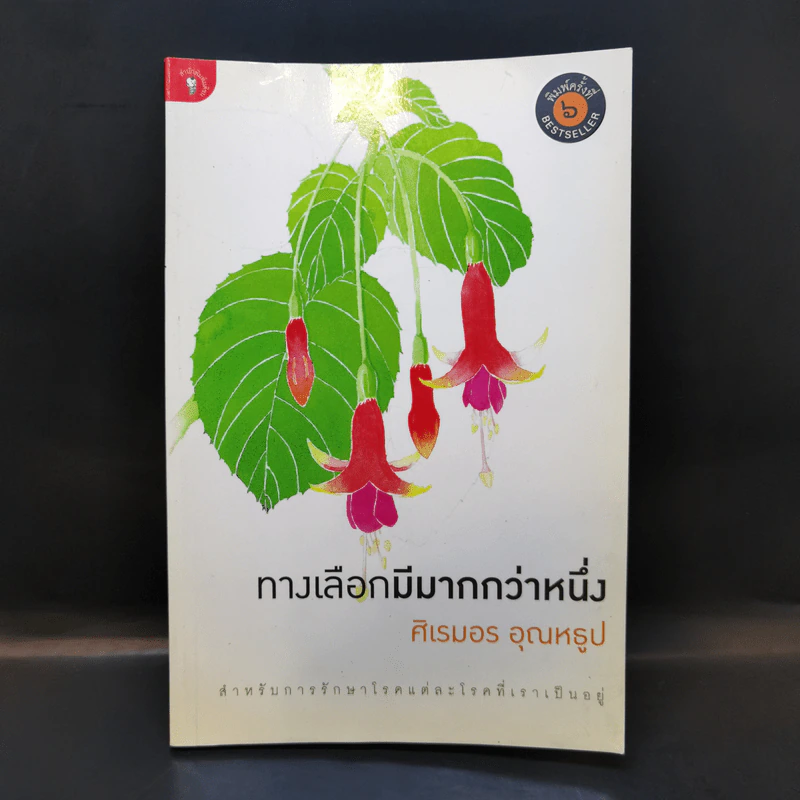 ทางเลือกมีมากกว่าหนึ่ง - ศิเรมอร อุณหธูป รูปที่ 1