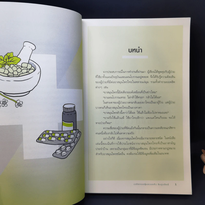 หายป่วยด้วยยาแผนไทย - เภสัชกรหญิงดวงแก้ว อังกูรสิทธิ์ รูปที่ 11