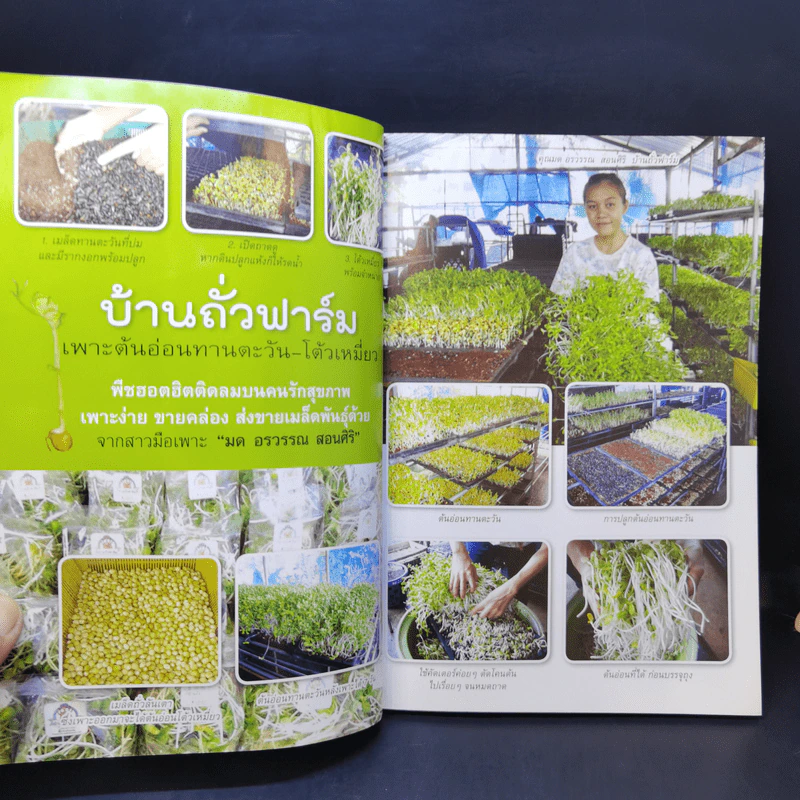 กลยุทธ์การเพาะปลูกต้นอ่อน เมล็ดงอก ผักสุขภาพ เพาะง่าย ขายรวย รูปที่ 9