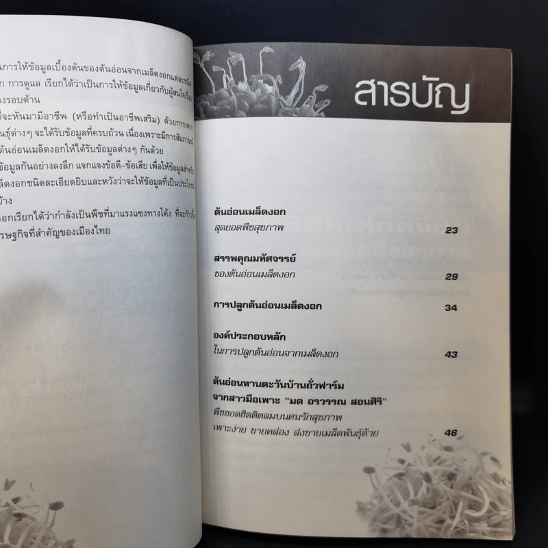 กลยุทธ์การเพาะปลูกต้นอ่อน เมล็ดงอก ผักสุขภาพ เพาะง่าย ขายรวย รูปที่ 11