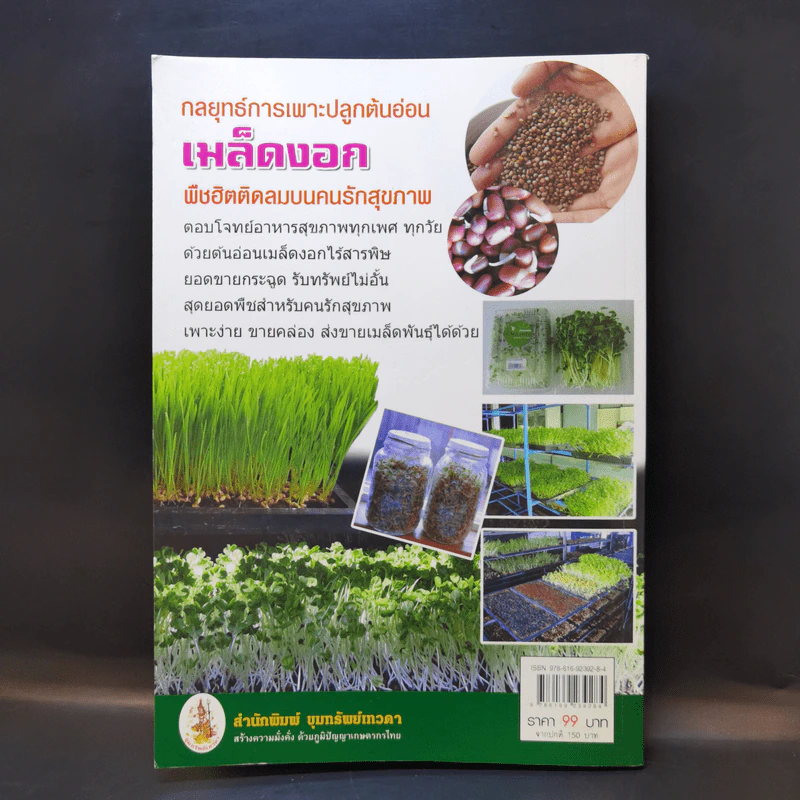 กลยุทธ์การเพาะปลูกต้นอ่อน เมล็ดงอก ผักสุขภาพ เพาะง่าย ขายรวย รูปที่ 2