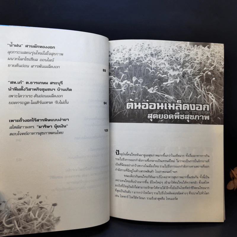 กลยุทธ์การเพาะปลูกต้นอ่อน เมล็ดงอก ผักสุขภาพ เพาะง่าย ขายรวย รูปที่ 12
