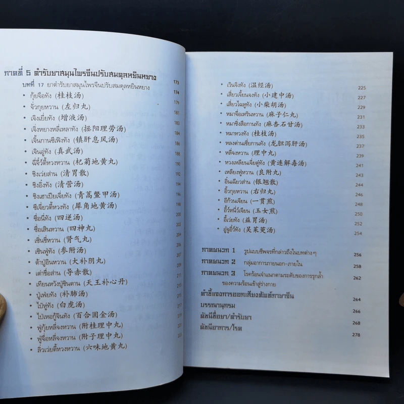ยาจีนปรับสมดุล หยินหยาง - รศ.ดร.นพ.ศุภนิมิต ทีฆชุณหเถียร รูปที่ 12