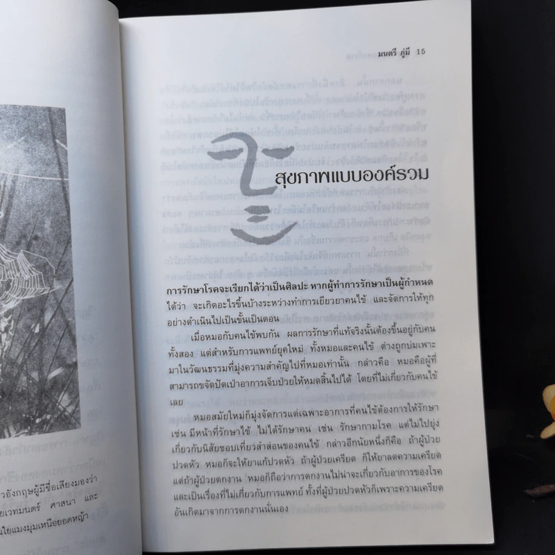 สุขภาพแบบองค์รวม มองย้อนการแพทย์ตะวันออก - มนตรี ภู่มี รูปที่ 12