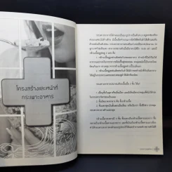 ดูแลกระเพาะอาหารและลำไส้ - กนกอร บุญพิทักษ์ รูปที่ 11