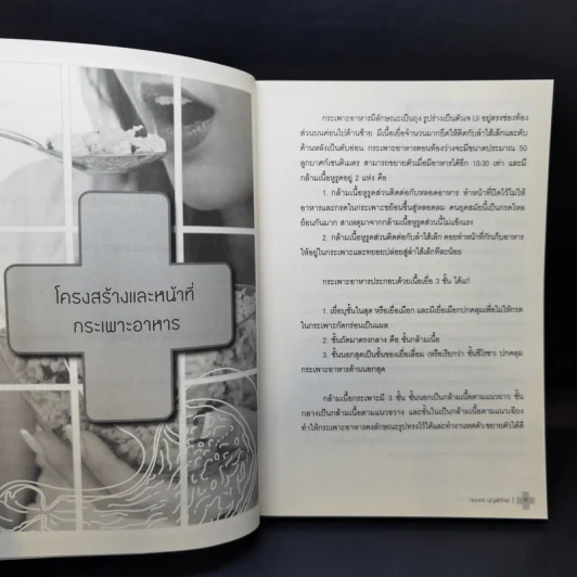 ดูแลกระเพาะอาหารและลำไส้ - กนกอร บุญพิทักษ์ รูปที่ 11