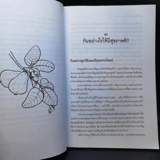ฟื้นฟูสุขภาพด้วยธรรมชาติบำบัด - กระยาทิพย์ เรือนใจ รูปที่ 11