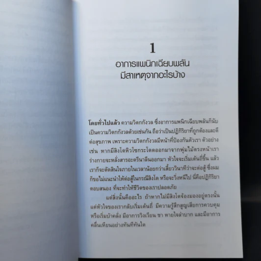 วิธีเอาชนะ โรควิตกกังวล และอาการแพนิกเฉียบพลัน - Klaus Bernhardt (เคลาส์ เบิร์นฮาร์ดท์) รูปที่ 12