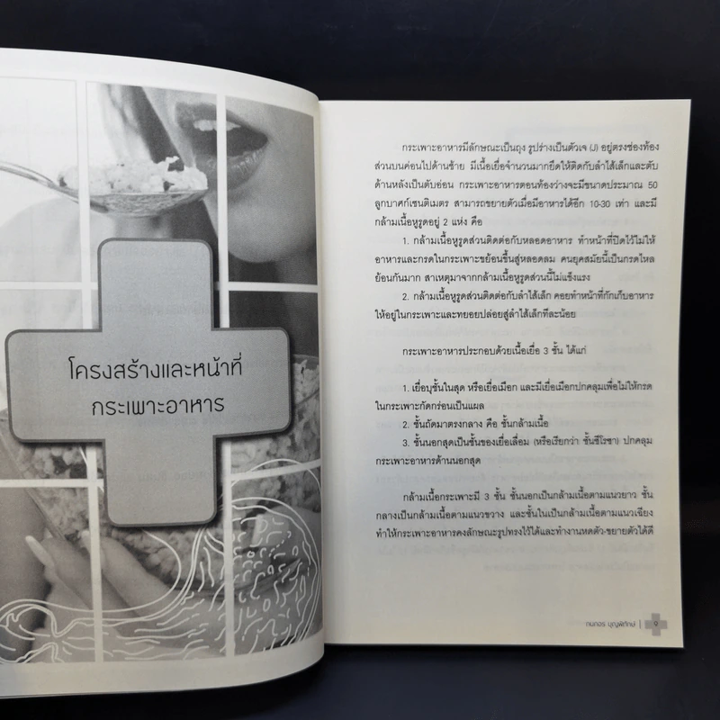 ดูแลกระเพาะอาหารและลำไส้ - กนกอร บุญพิทักษ์ รูปที่ 11