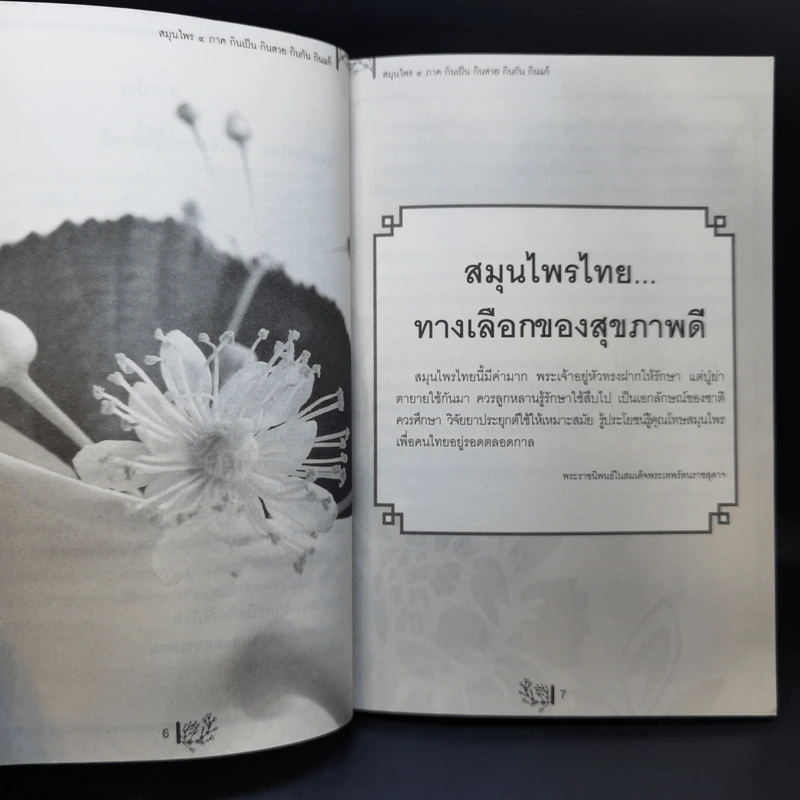 กินเป็น กินสวย กินกัน กินแก้ สมุนไพร 4 ภาค - ฐนิชา พิมพ์วรรณ์ รูปที่ 10