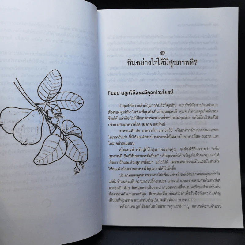 ฟื้นฟูสุขภาพด้วยธรรมชาติบำบัด - กระยาทิพย์ เรือนใจ รูปที่ 11