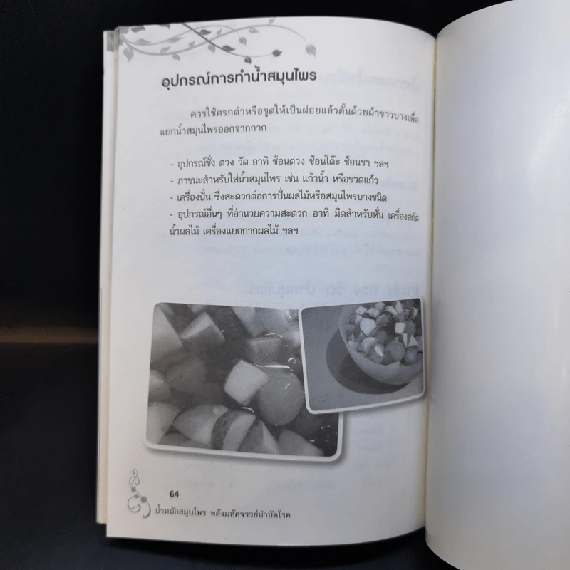 น้ำหมักสมุนไพร พลังมหัศจรรย์บำบัดโรค - ไกรภพ สาระกูล รูปที่ 11