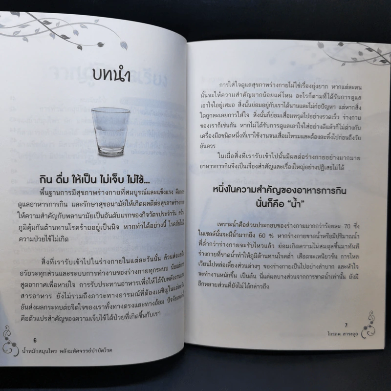 น้ำหมักสมุนไพร พลังมหัศจรรย์บำบัดโรค - ไกรภพ สาระกูล รูปที่ 10