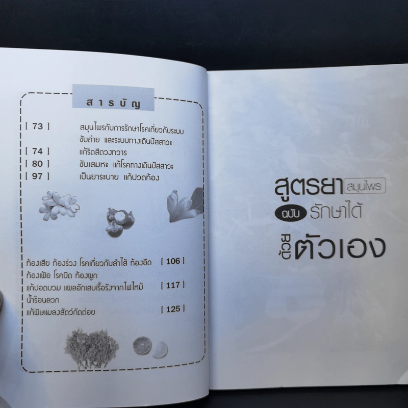 สูตรยาสมุนไพรฉบับรักษาได้ด้วยตัวเอง - ลิขิต ภิญโญ รูปที่ 10