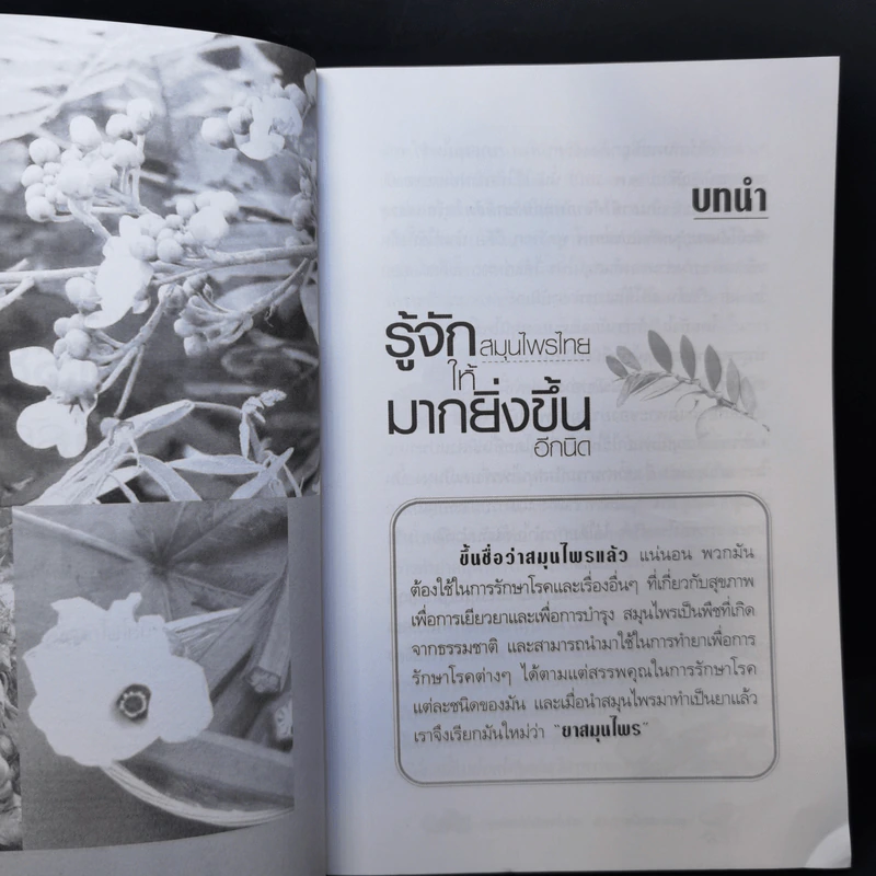 สูตรยาสมุนไพรฉบับรักษาได้ด้วยตัวเอง - ลิขิต ภิญโญ รูปที่ 11