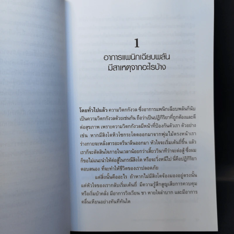 วิธีเอาชนะ โรควิตกกังวล และอาการแพนิกเฉียบพลัน - Klaus Bernhardt (เคลาส์ เบิร์นฮาร์ดท์) รูปที่ 12