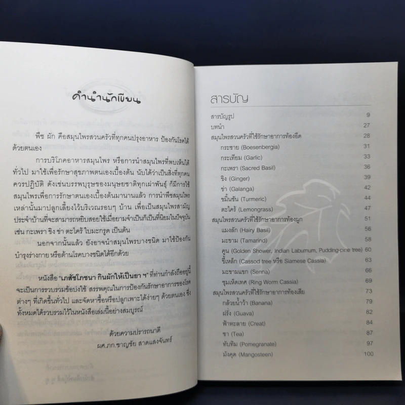 เภสัชโภชนา กินผักให้เป็นยา - ผศ.ภก.ชาญชัย สาดแสงจันทร์ รูปที่ 10