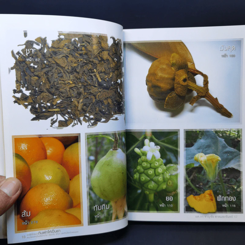 เภสัชโภชนา กินผักให้เป็นยา - ผศ.ภก.ชาญชัย สาดแสงจันทร์ รูปที่ 13