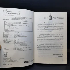 วารีบำบัด มหัศจรรย์แห่งน้ำ - ขวัญข้าว รักการธรรม รูปที่ 8