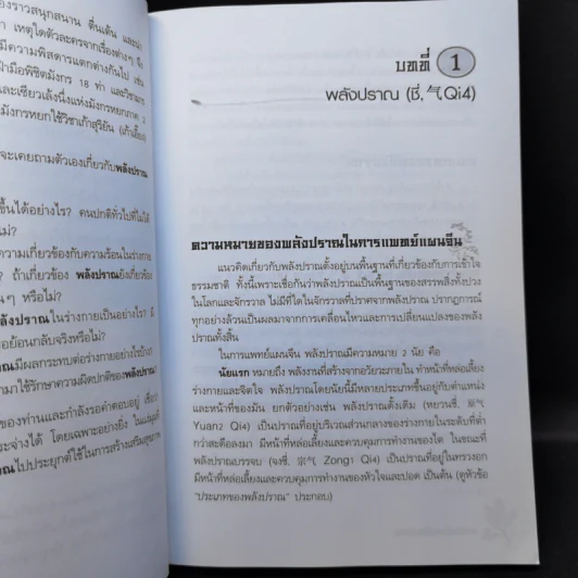 ยาจีนกับพลังปราณ - รศ.ดร.นพ.ศุภนิมิต ทีฆชุณหเถียร รูปที่ 13