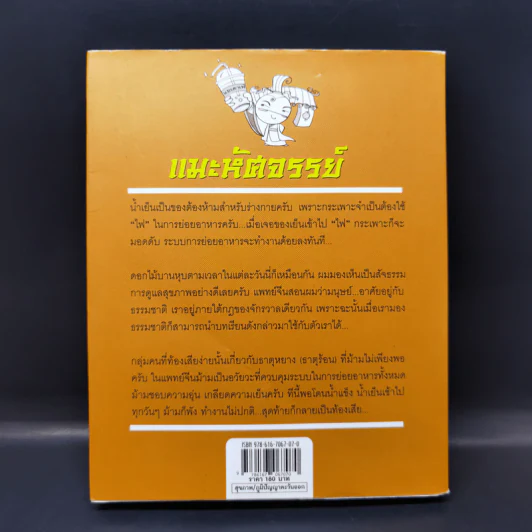 แมะหัศจรรย์ รู้ทันสุขภาพกับศาสตร์แพทย์แผนจีน - เชน หยินและหยาง รูปที่ 2