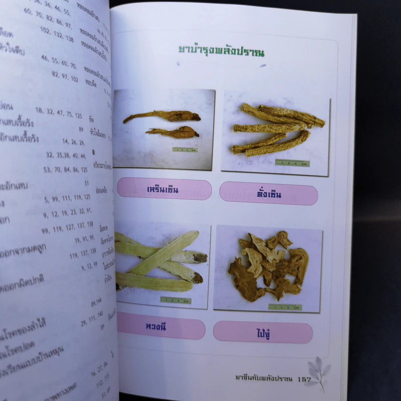 ยาจีนกับพลังปราณ - รศ.ดร.นพ.ศุภนิมิต ทีฆชุณหเถียร รูปที่ 14