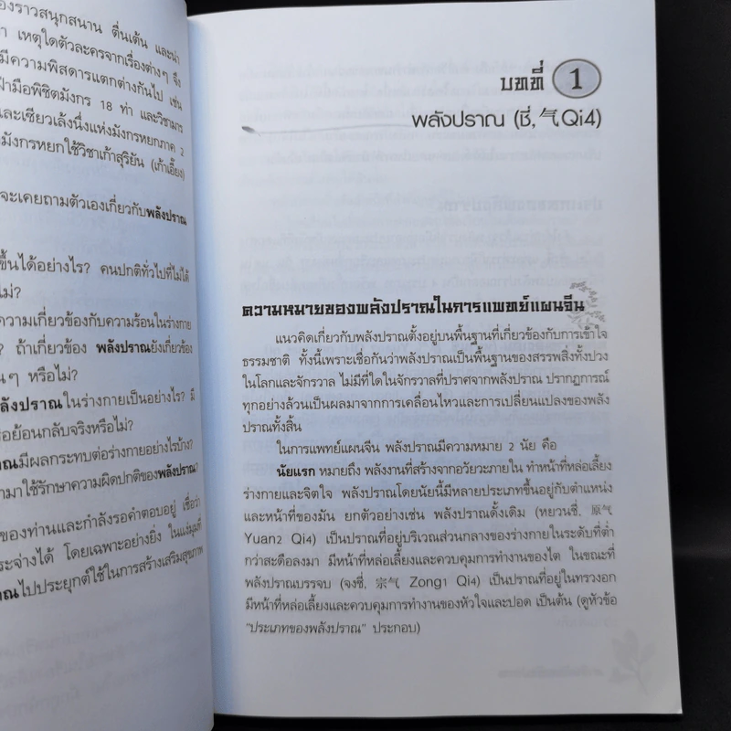 ยาจีนกับพลังปราณ - รศ.ดร.นพ.ศุภนิมิต ทีฆชุณหเถียร รูปที่ 13