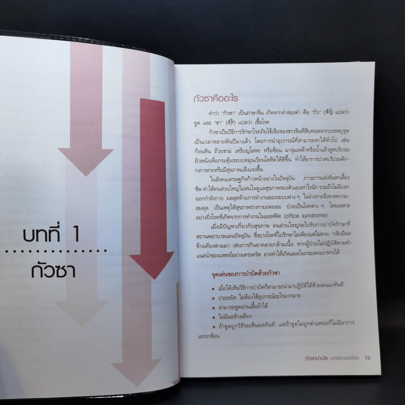 กัวซาบำบัด ขจัดสารพัดโรค - ธีรศักดิ์ วัณนาวิบูล รูปที่ 12