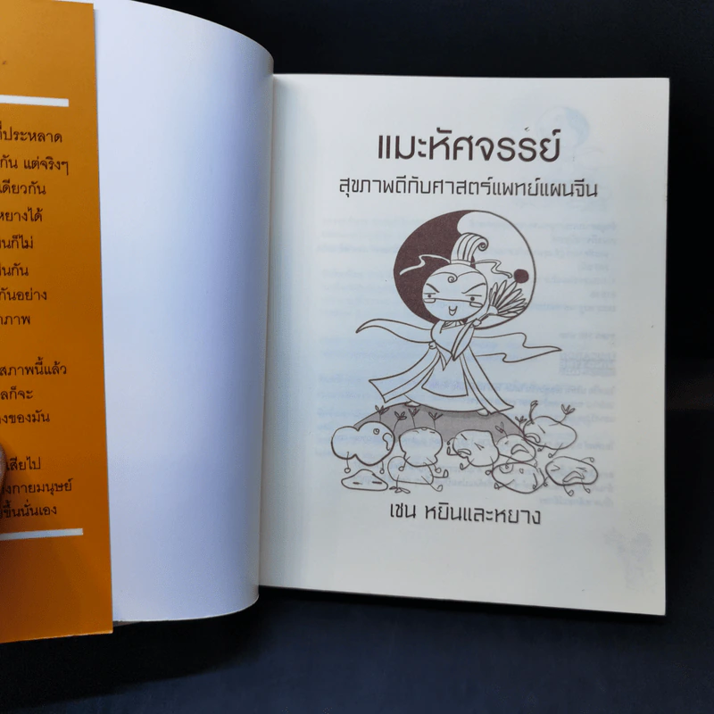 แมะหัศจรรย์ รู้ทันสุขภาพกับศาสตร์แพทย์แผนจีน - เชน หยินและหยาง รูปที่ 8