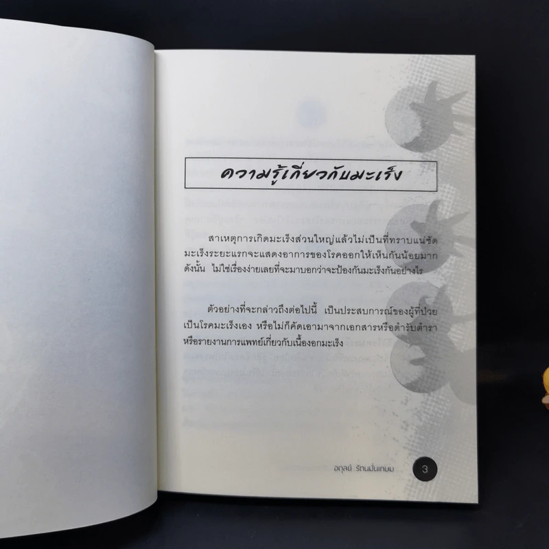 อาหารต้านมะเร็ง ตามหลักการแพทย์จีน - อดุลย์ รัตนมั่นเกษม รูปที่ 11