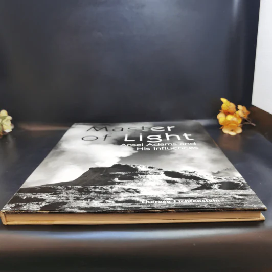 Master of Light - Therese Lichtenstein รูปที่ 5