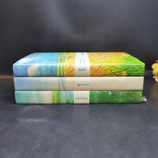 ชุดบ้านน้อย 2 Boxset - ลอร่า อิงกัลส์ ไวล์เดอร์ รูปที่ 3