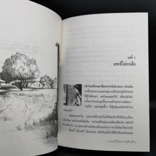 ชุดบ้านน้อย 2 Boxset - ลอร่า อิงกัลส์ ไวล์เดอร์ รูปที่ 12