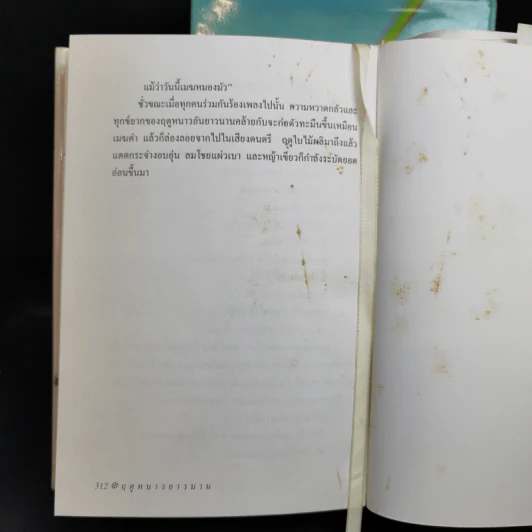 ชุดบ้านน้อย 2 Boxset - ลอร่า อิงกัลส์ ไวล์เดอร์ รูปที่ 18
